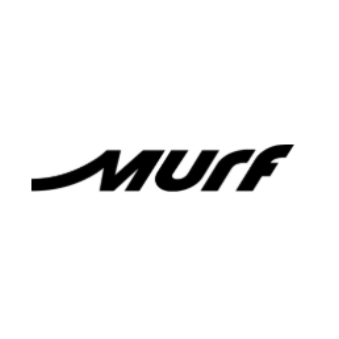 Murf Electric Bikes